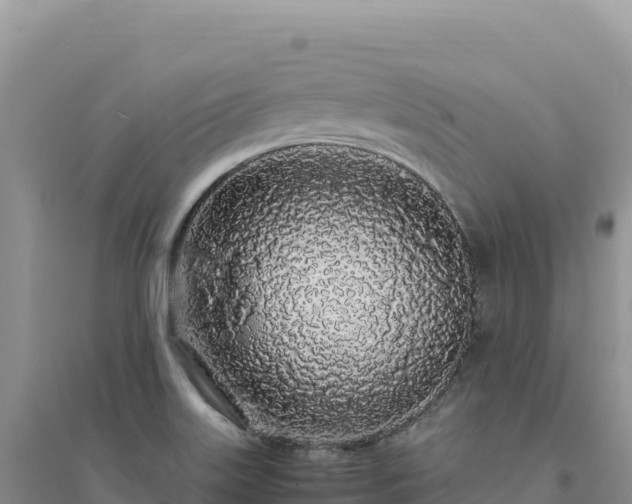 X0000094361515200711091503