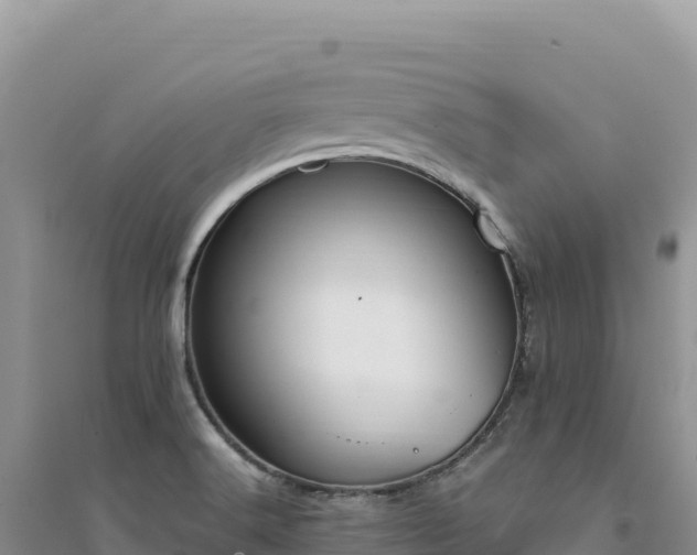 X0000094361516200711091503