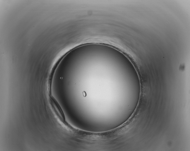 X0000094361517200711091503