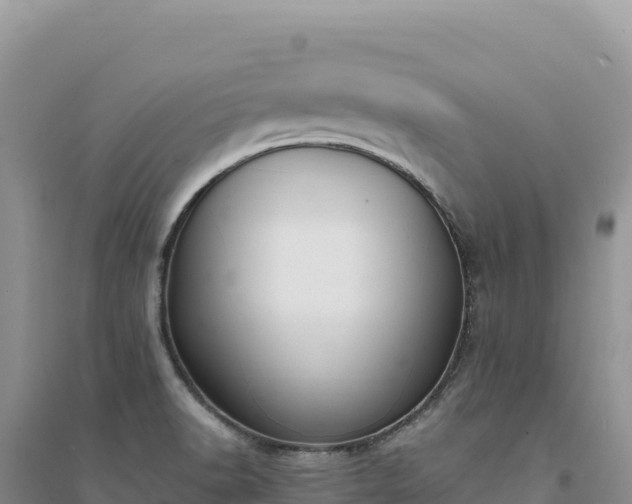 X0000094361518200711091503