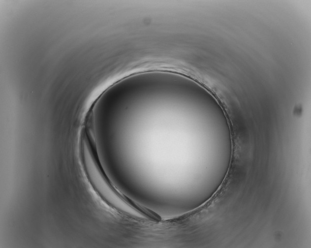 X0000094361520200711091503