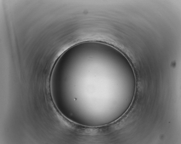 X0000094361521200711091503