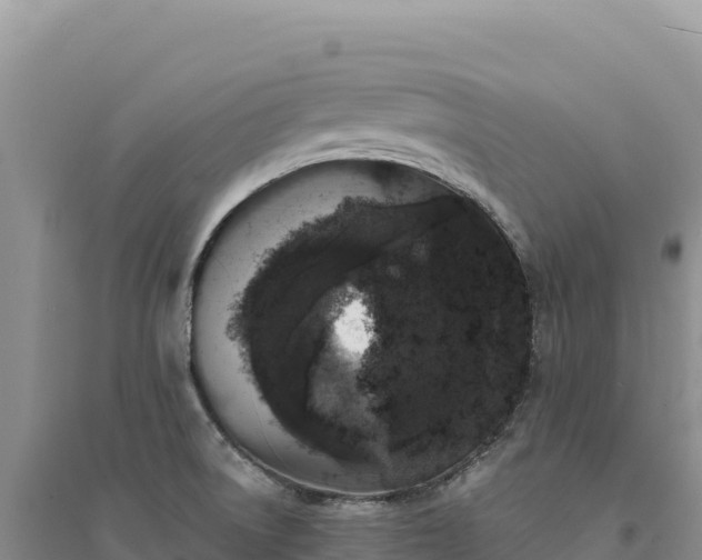 X0000094361522200711091503