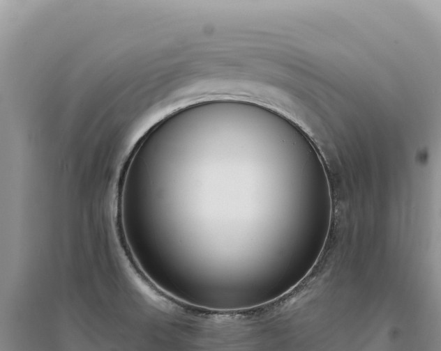 X0000094361523200711091503