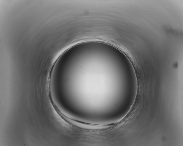 X0000094361524200711091503