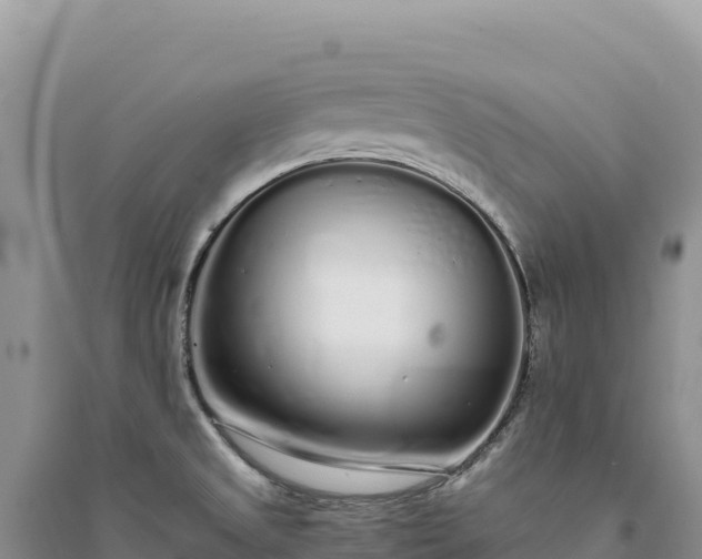 X0000094361525200711091503