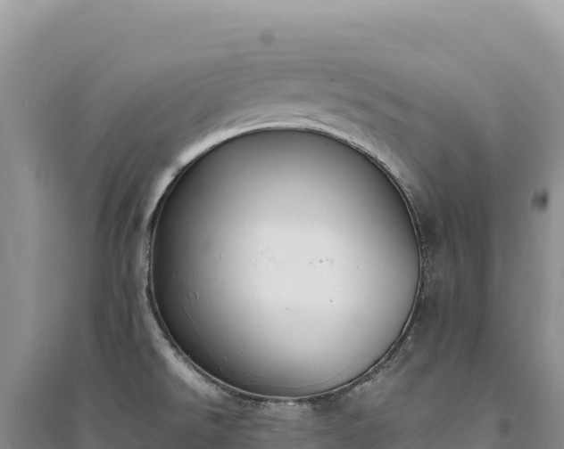 X0000094361526200711091503