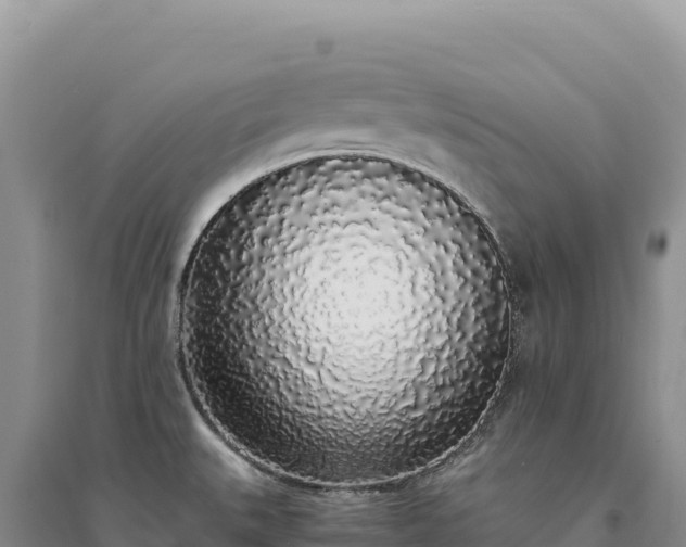 X0000094361527200711091503