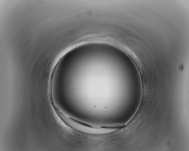 X0000094361528200711091503
