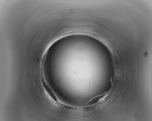 X0000094361532200711091503