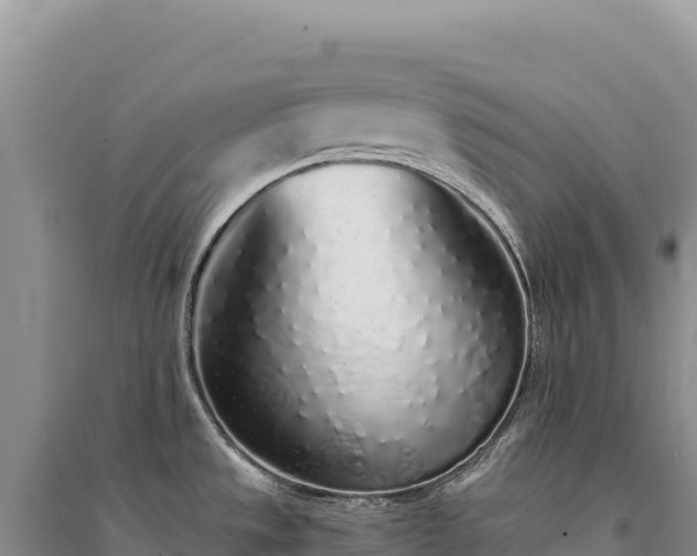X0000094361533200711091503