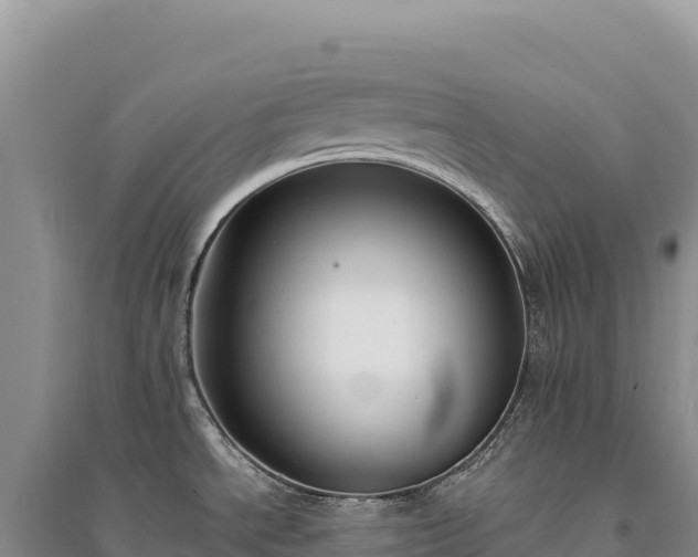 X0000094361534200711091503