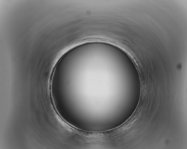 X0000094361535200711091503