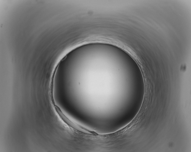 X0000094361536200711091503