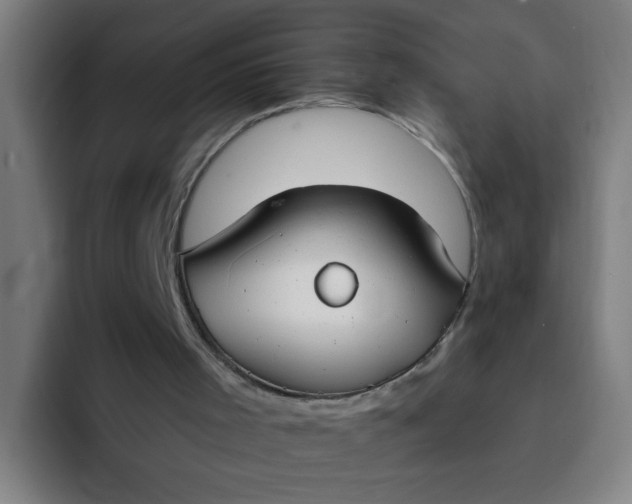 X0000094360001200711162100