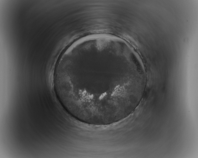 X0000094360002200711162100