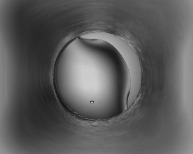 X0000094360003200711162100