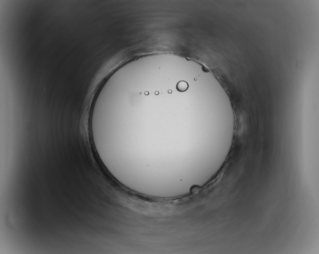 X0000094360004200711162100