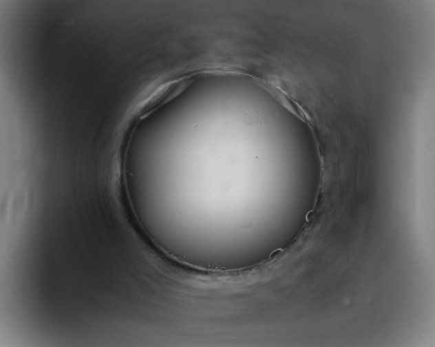 X0000094360005200711162100