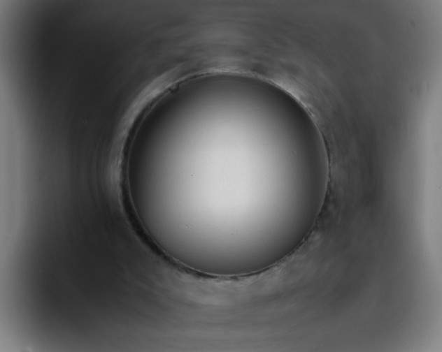 X0000094360007200711162100