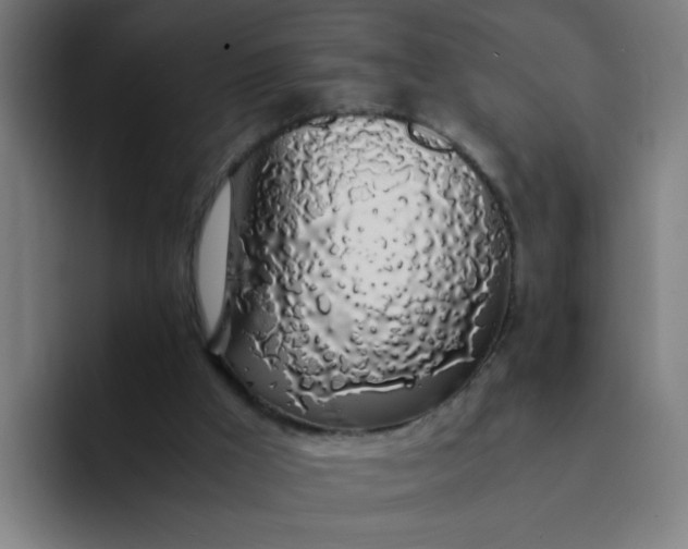 X0000094360009200711162100