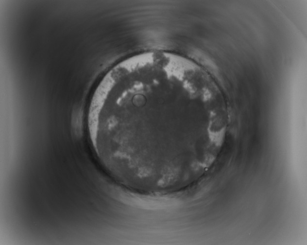 X0000094360012200711162100