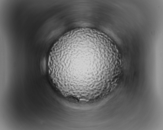 X0000094360014200711162100