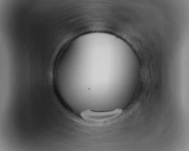 X0000094360015200711162100