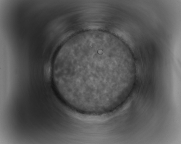 X0000094360016200711162100