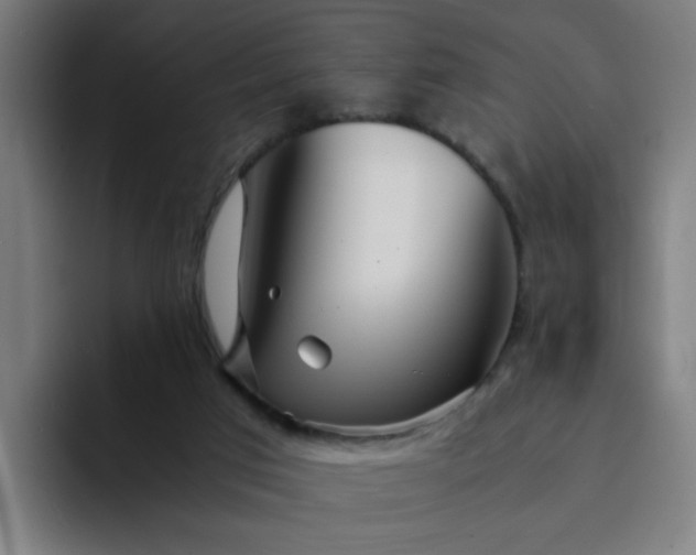 X0000094360017200711162100