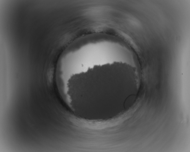 X0000094360018200711162059