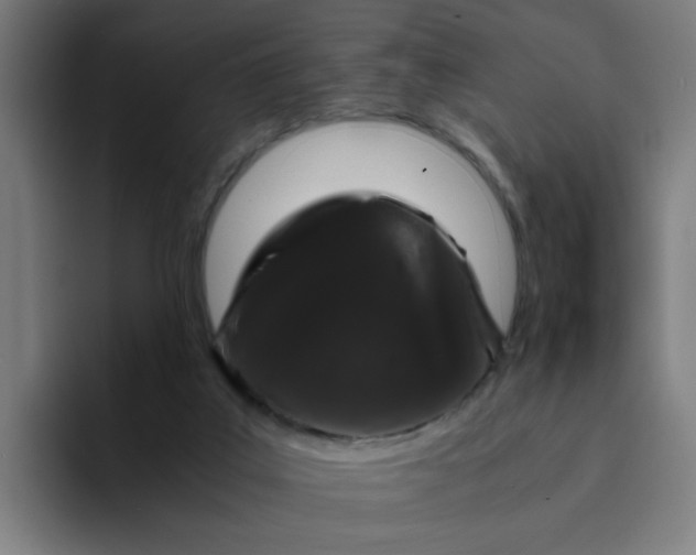 X0000094360019200711162059