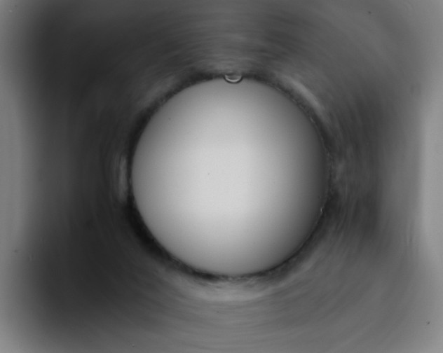 X0000094360020200711162059