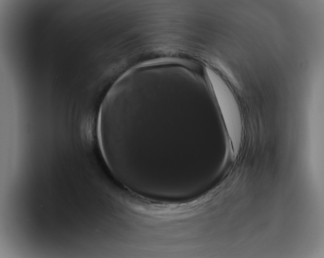 X0000094360023200711162059