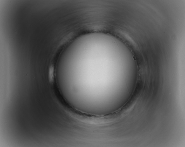 X0000094360024200711162059