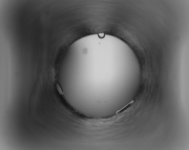 X0000094360025200711162059