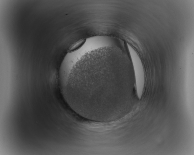 X0000094360029200711162059