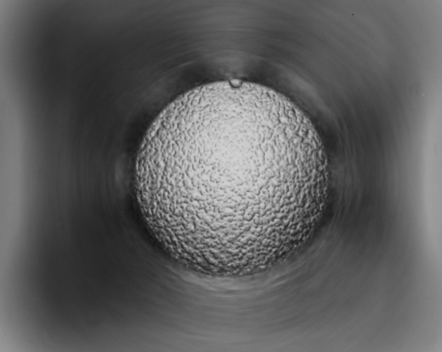 X0000094360030200711162059