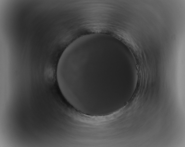 X0000094360031200711162059