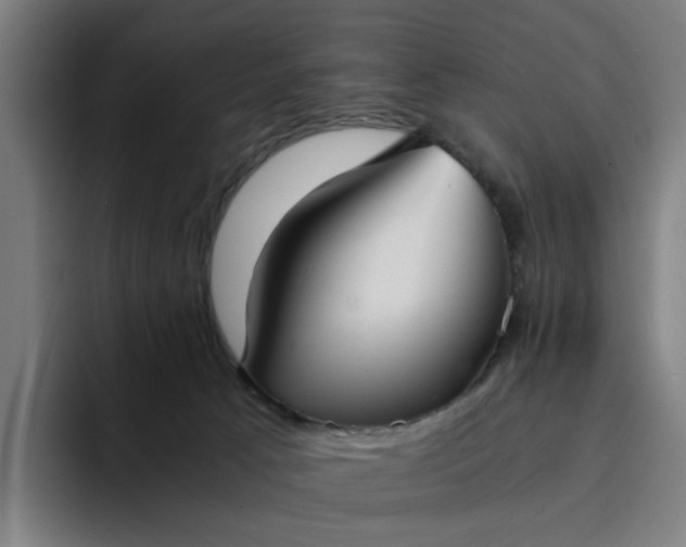 X0000094360033200711162059