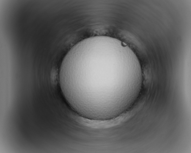 X0000094360034200711162059