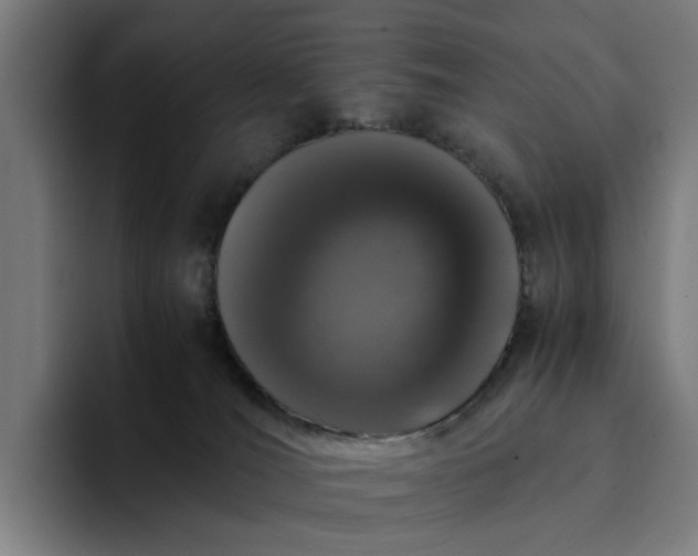 X0000094360036200711162059