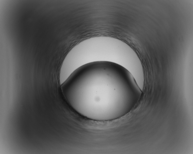 X0000094360037200711162059