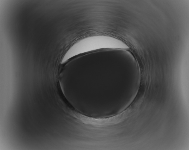 X0000094360039200711162059