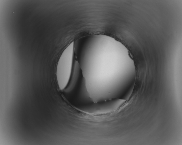 X0000094360041200711162059