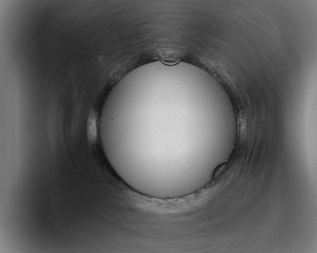 X0000094360042200711162059