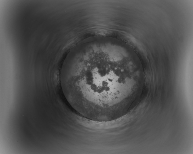 X0000094360043200711162059