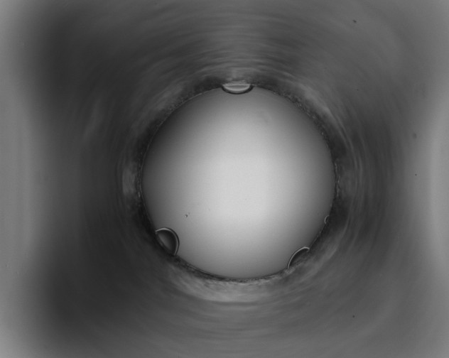 X0000094360044200711162059