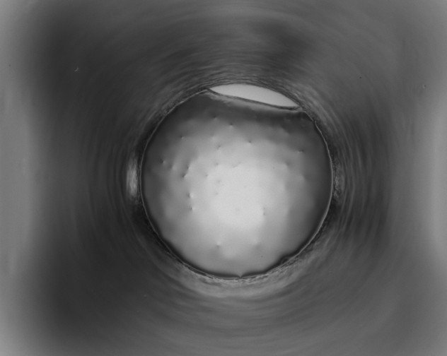 X0000094360046200711162059