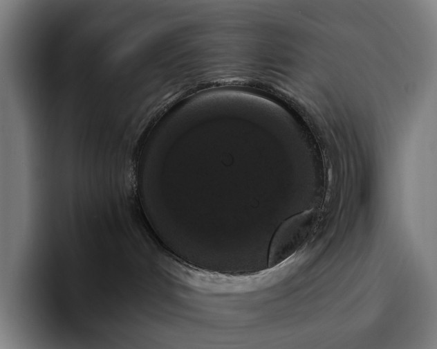 X0000094360048200711162059